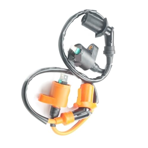 Bobine haute performance 2 broches pour optimiser le démarrage des moteurs Be Ca Fl
