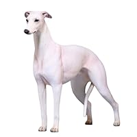 Amazon.co.jp: 1/6 サイズ イングリッシュ・グレイハウンド 可愛い 犬