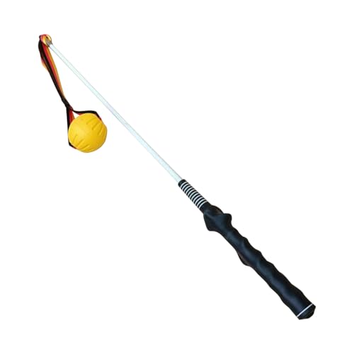 wr[f[eB t[g|[ - ^p|[,ybgpj_ Ogp\AC^NeBuȎq^Pߋ