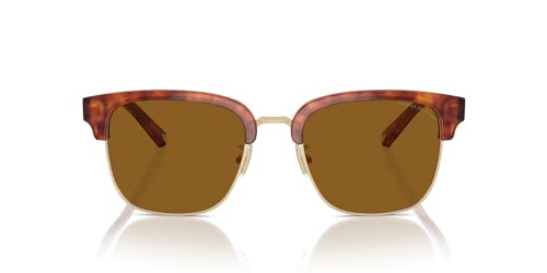 COACH Men's HC8326 Square Sunglasses, Caramel Tortoise/Light Gold/Brown Solid Polarized, 52 mm