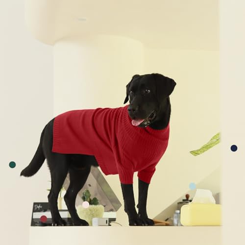 IECOii Hundepullover: Warmer Rollkragen Pullover für Kleine, Mittelgroße und Große Hunde - Winter Hundebekleidung für Chihuahua, Französische Bulldogge, Labrador