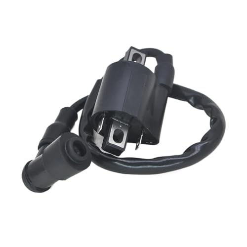 Bobine d'allumage pour CBF125 CBR125 et moto CR250