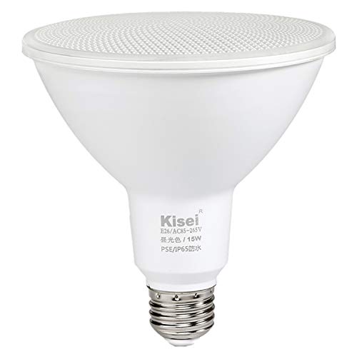 LEDr[d 15W LEDr[v r[Cg ONۏ LpƎ IP65h yʃfUC  Px E26 OŔƖ (F 1Pi)