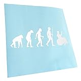 Kiwistar - Autoaufkleber - Rollstuhl Behindert Evolution - Weiss - 20x6,6cm - Heckscheibe Auto Aufkleber wetterfest für Kfz LKW Mofa Truck - Sticker außen selbstklebend Tuning Zubehör für Fenster