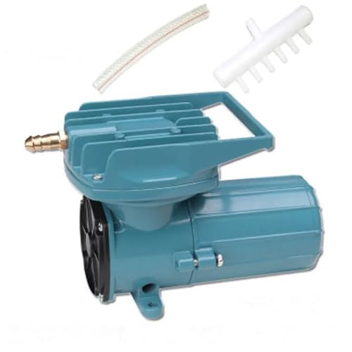 Pompe à air électrique DC 18W 38L pour transport et aération performante