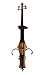 Aliyes Professional Handmade Solid Wood Electric Cello 4/4 Full Size Silent Electric Cello With bow, Case,Bridge Strings-1807