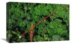 12 x 18 in. Rainforest Canopy Research Crane, STRI, Panama Art Print - Mark Moffett