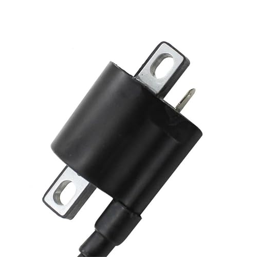 Bobina de encendido para solucionar problemas de arranque en frío de scooters 6
