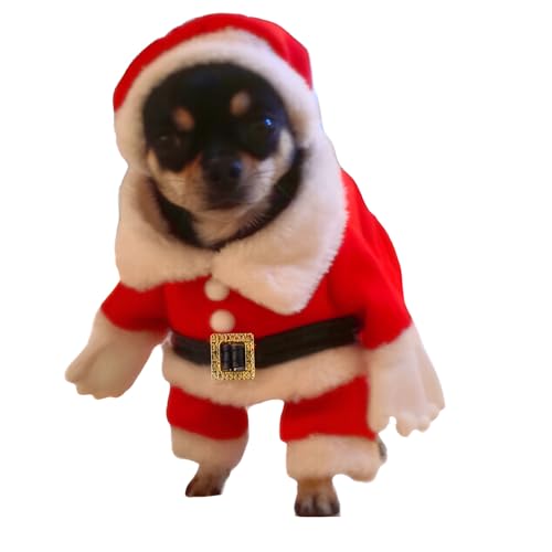 [Bebemax]y`[z yybgz tۉ p̃Zbg 藧̃fUC ۉ XqSRt EyX Lp S LTCY ɓK