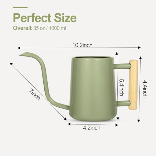 Image of Watering Can Indoor Plants, 35 oz /1000 ml Metal Stainless Steel Watering Can Pot with Long Spout for Indoor House Plants Bonsai Outdoor Garden Flower Decorative (Sage Green)