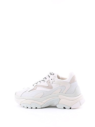  ASH Addict off White