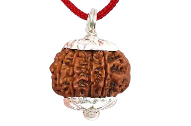 BluDiamond Pure Aath Mukhi Rudraksha Brown Bead Ashta Mukhi 8 Mukhi Nepali Rudraksha Original IGL Certified 8 मुखी रुद्राक्ष Natural 8 Eight Face Rudraksh आठ मुखी रुद्राक्ष Blessing Shiva For Locket-image-8