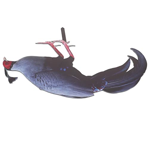 TOBBOMEY LW̒̑ {ɃhA {p {tB[_[ Ƌ ̉a ߂ǂ `L [h K[f Xe[N `LhA {̎ TC {̂ } AN
