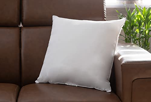 LANE LINEN 18 x 18 Throw Pillow Insert - Pack of 2 White, Down Alternative Pillow Inserts for Decorative Pillow Covers, Throw Pillows for Bed, Couch Pillows for Living Room