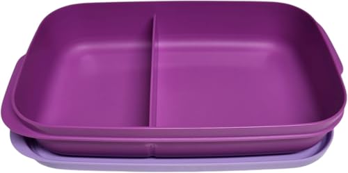 Tupperware to Go Lunchbox Clevere Pause 590ml mit Trennwand Eco+ Schule abgeteilt Brotdose mit Abteilung Twin Sandwichbox violett lila 590 ml