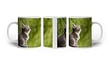 deyoli Motivetasse Niedliche Katze – sanfte Neugier 300ml, aus weißem Keramik/Kaffetasse/Geschenkidee