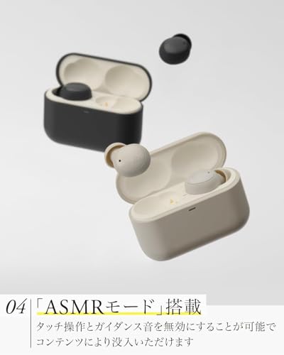 final (ファイナル) ZE500 for ASMR