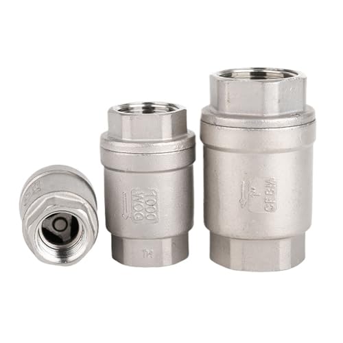 Clapet anti-retour 1/4" BSPT vertical pour résoudre les problèmes de désamorçage de pompe - 2