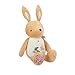 KALOO Peluche Conejo de Nacimiento con Sonido Papel susurrante en el Interior 28 cm Materiales reciclados Compañero mimoso y juguetón Desde K210006 Imagen de KALOO Peluche Conejo de Nacimiento con Sonido Papel susurrante en el Interior 28 cm Materiales reciclados Compañero mimoso y juguetón Desde K210006