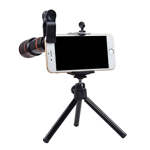 Ipetboom 1 Zbg Ort]Y JYLbg XY X}[gJY gѓdb̃J̃Y OrY ]db 12{]Y gѓdb̃Y Black