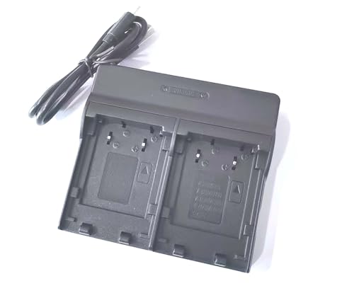 Cargador de batería para cámara JVC GZ-MG134 GR-D350EK HD300REK USB dual BN-VF707US