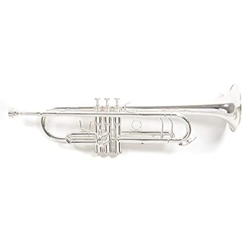 Roy Benson Bb trumpet TR-403S Cover