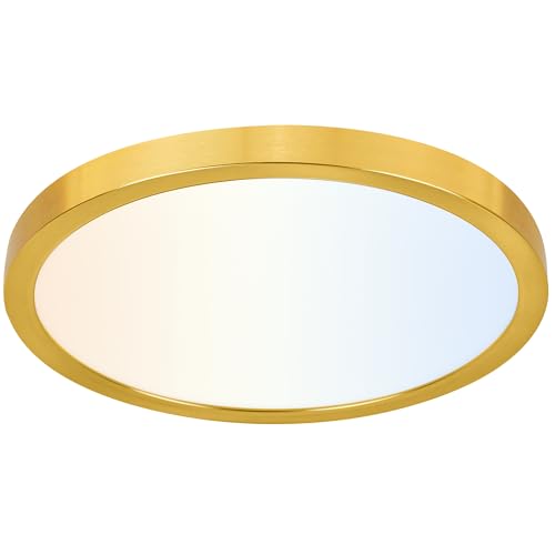 Image of hykolity 12 Inch Selectable CCT LED Round Flat Panel Light,24W,2400LM