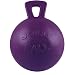 Tug-N-Toss Ball Color: Purple, Size: 8" H x 6" W x 6" D