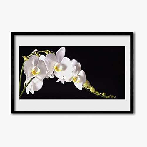 Cadre en MDF avec affiche plante de fleurs pour apaiser l'ambiance murale