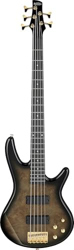 Ibanez electric bass- GSR205PCTPB