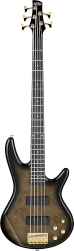ホビー・楽器・アート GO Ibanez GSR205PC-TPB [SPOT MODEL] ｜イケベ楽器店オンラインストア