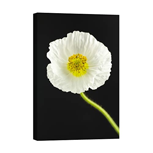 Tableau sur toile fleurs DCF055-2 lumineux dans le noir 80x120 cm