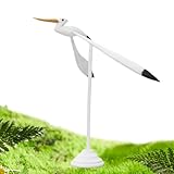 immagine banner Amazon