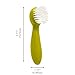 Joie Potato Scrub Brush, Ergonomic Easy Grip Handle, Ideal for Cleaning Vegetables and Fruits, Small and Compact, Handy Kitchen Gadget, BPA-Free, Dishwasher Safe, Green