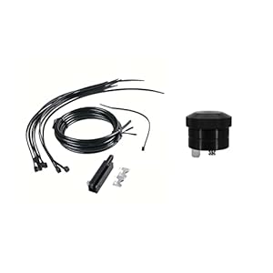 31fliilbb8l. sl500 . ss300