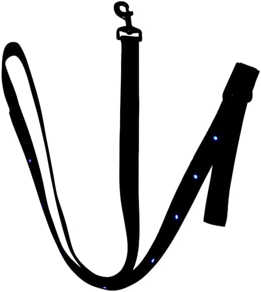 Youly The Extrovert LED Dog Leash, 6 ft.