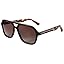 C02 Tortoise / Gradient Brown