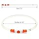 iTayga leuchthalsband Hund, USB-aufladbar und wasserdicht hundehalsband, verstellbare Länge, Sicherheitshalsband für Hunde und Katzen, 3 Modi, Orange