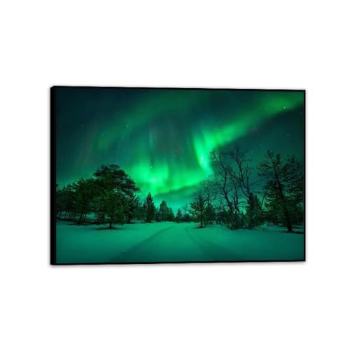 Tableau d'aurores boréales aurores vertes paysage naturel sur toile