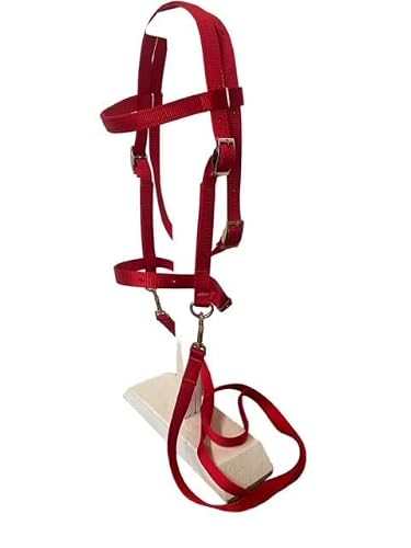 Party Ponies Miniature Horse/Sm Pony Bitless Bridle That converts to a bit Bridle - Colors