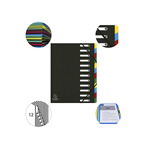 Exacompta 55121E Premium Ordnungsmappe Harmonika. Aus extra starkem Colorspan-Karton DIN A4 12 Fächer und 2 Gummizüge mit Indexfenster und dehnbarem Rücken Register-Mappe schwarz