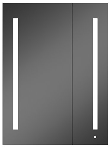 Robern AC3040D4P2L AiO 30
