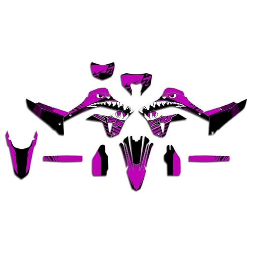 Kit autocollants graphiques CRF300L et CRF300M 2021-2024 Déco moto