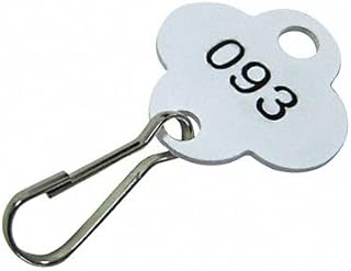 Key Tag Numbered 201 to 300, PK100