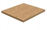 Küchenarbeitsplatte 60 cm - Robuste Arbeitsfläche aus hochwertigem Material - feuchtigkeitsbeständig - abgerundete Kanten - langlebig - Arbeitsplatte Steineiche 5527FP