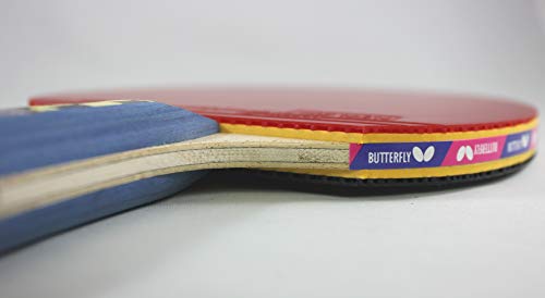 Butterfly Raquete de tênis de mesa Nakama S4 – Potência de fibra de carbono com controle surpreenden