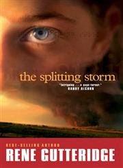 The Splitting Storm (The Storm Series #1)