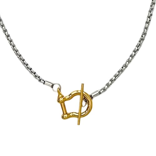 Collier fer à cheval porte-bonheur le cadeau idéal avec sa jolie chaîne de sabot