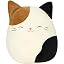 Cam Calico Cat