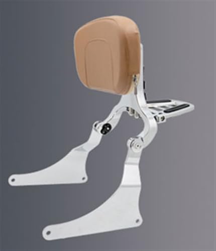Sissy barre pour Vulcan VN 900 Custom avec dossier de passager pliable premium